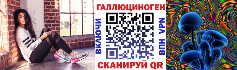 shop наркотические препараты  кракен зеркало  Псилоцибиновые грибы мицелий  Мегион  наркошоп 