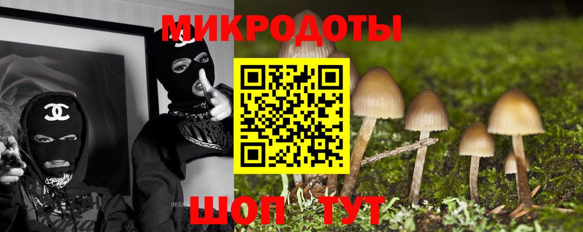 Псилоцибиновые грибы ЛСД  Псилоцибиновые грибы мицелий  Мегион  Вход с VPN 